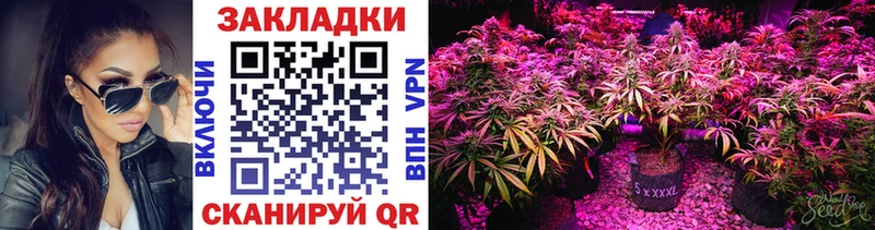 Наркотические вещества Гурьевск Codein  Alpha-PVP  COCAIN  ГАШ  Меф мяу мяу  Каннабис 