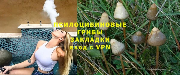 гашик Балахна