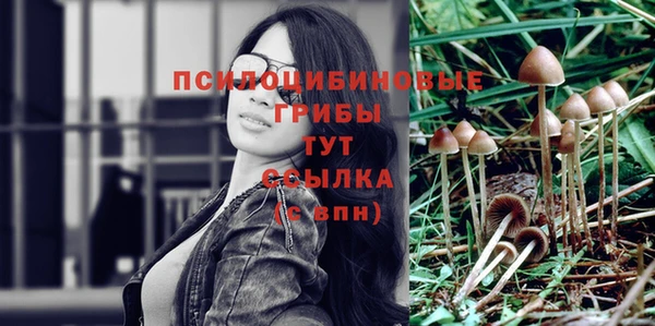 соль курить ск Аркадак