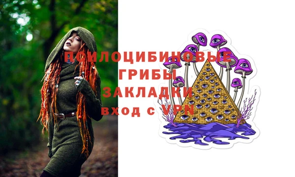 прущая мука Арсеньев
