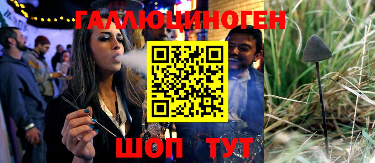 Гурьевск  Псилоцибиновые грибы мухоморы  Вход с VPN  Галлюциногенные грибы Psilocybine cubensis 