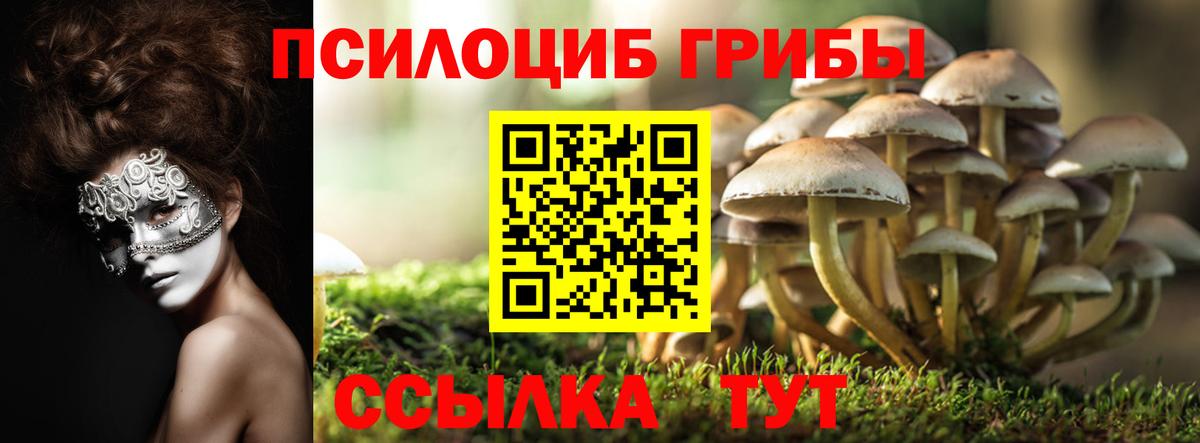 Галлюциногенные грибы MAGIC MUSHROOMS Гурьевск