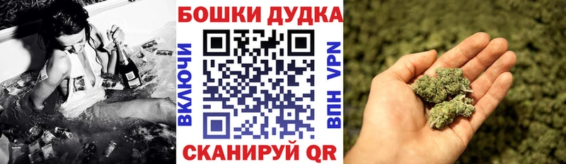 цены наркотик  Гурьевск  Канабис план 